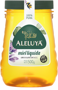 MIEL PASTEUR. LIQUIDAX500 GR